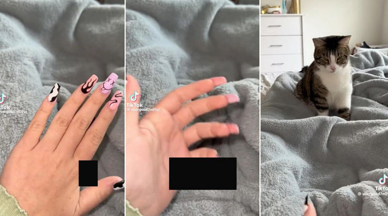 Viral Nail Video Kitty How a Feline and Fabulous Nail Art Took the Internet by Storm