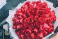 Top 69 bó hoa hồng đẹp tặng sinh nhật người yêu ý nghĩa nhất cho nàng