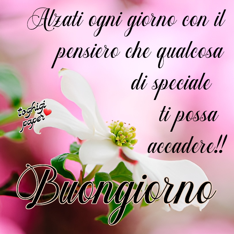 Buongiorno citazioni: Riflessioni per alimentare l'animo ogni mattina