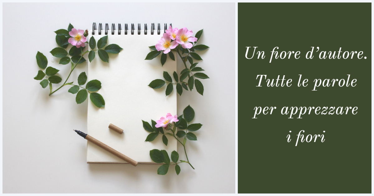 Citazioni sui fiori: la poesia dei petali