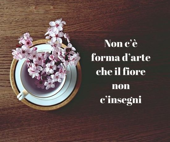 Citazioni sui fiori: la bellezza che sboccia