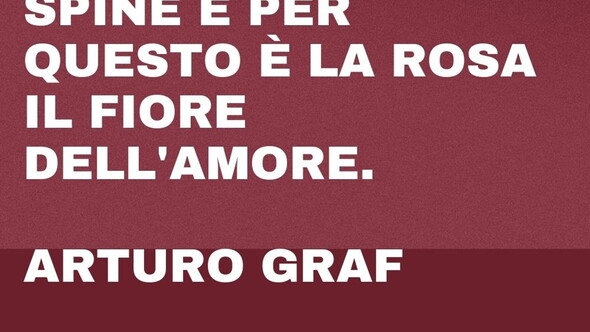 Citazioni sui fiori: un'ode alla fragilità