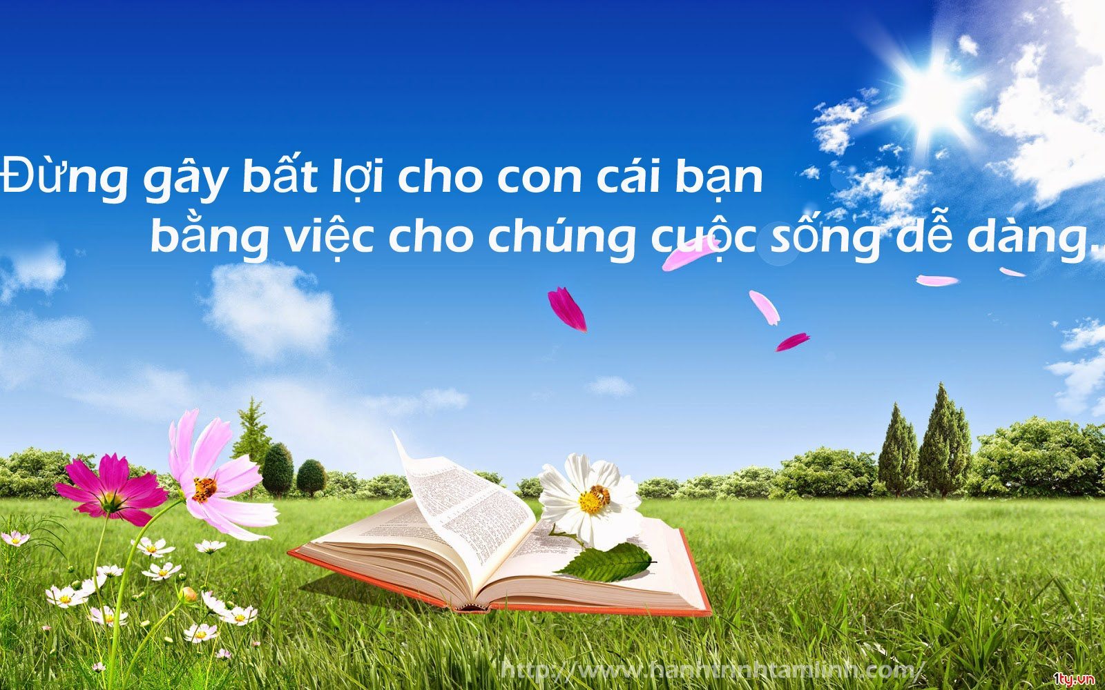 Hinh-anh-ve-cuoc-song 