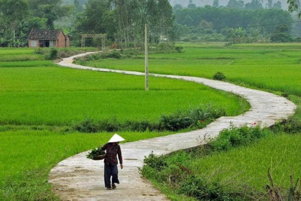 Ngắm nhìn Hình ảnh làng quê Việt Nam yên bình mộc mạc