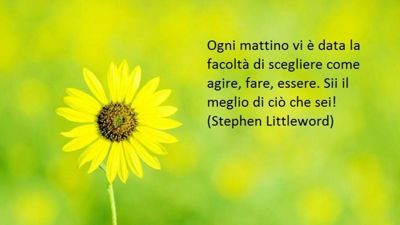 Citazioni buongiorno: Buongiorno Sii grato per ogni nuovo giorno che ti viene donato