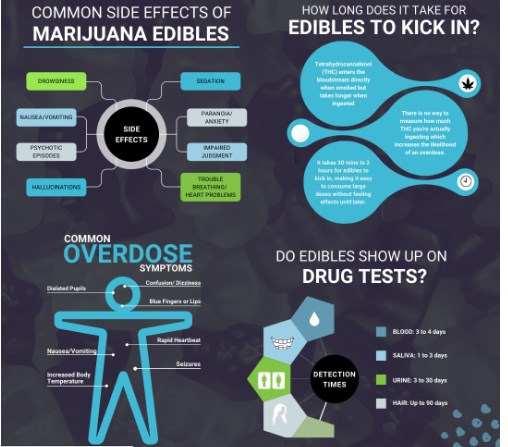 Do Edibles Make You Age Faster? A Comprehensive Look at the Long-Term Effects of Cannabis