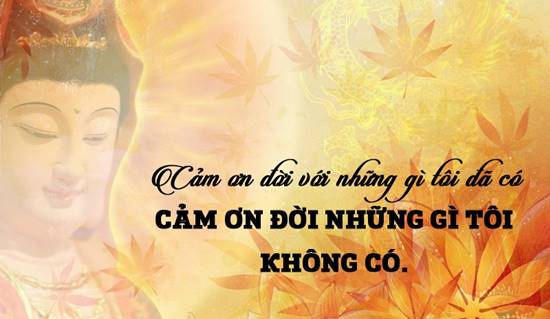 Những câu nói hay của Phật về cuộc sống và đạo làm người sâu sắc - GIÚP BẠN