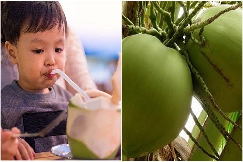Sốt uống nước dừa được không? Bị sốt nên uống nước gì?
